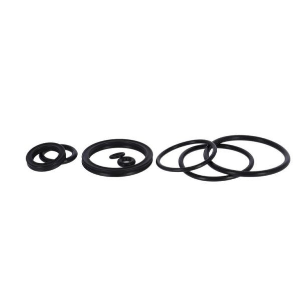 SR-Suntour Oil Seal Kit SR Suntour RS