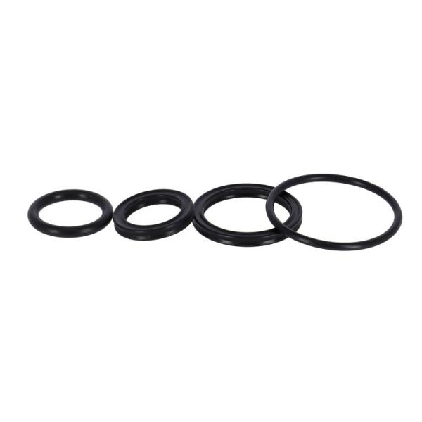 SR-Suntour Oil Seal Kit SR Suntour RS