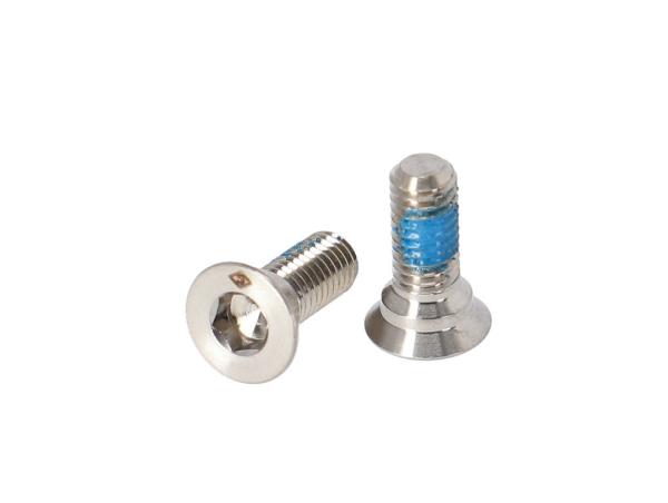 Campagnolo Schrauben f&uuml;r Montage Adapters 160mm