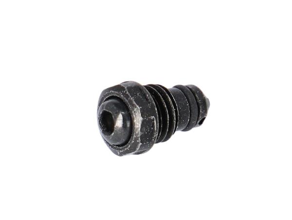 Campagnolo Entl&uuml;ftungsschraube 