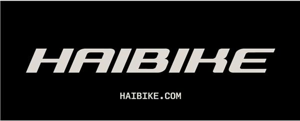 Spannband Haibike