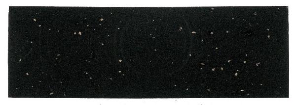Velo Lenkerband Kork schwarz