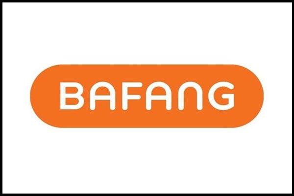 Kategorie E-Bike Service Bafang