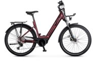 E-BIKE VERLEIH RENT mieten leihen ausleihen Pedelec Vitality Eco 10 Cross Trekkingrad 