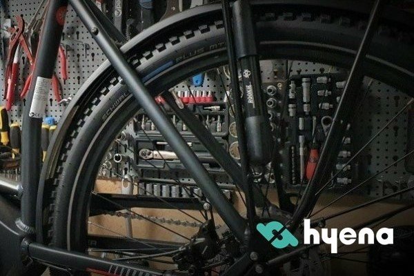 Hyena E-Bike Inspektion, Reparatur mit Service Update