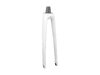 Trek Fork Rigid FX Sport 4 Carbon Thru-Skew Crystal Whi