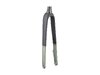 Trek Fork Rigid Domane AL5 53R Lichen Green