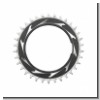 Kettenblatt SRAM T-Type Eagle XXSL