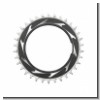 Kettenblatt SRAM T-Type Eagle XXSL