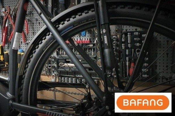 Bafang E-Bike Inspektion, Reparatur mit Service Update